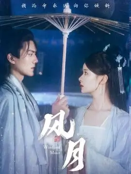 雾港谜案 热播电视剧全集免费观看